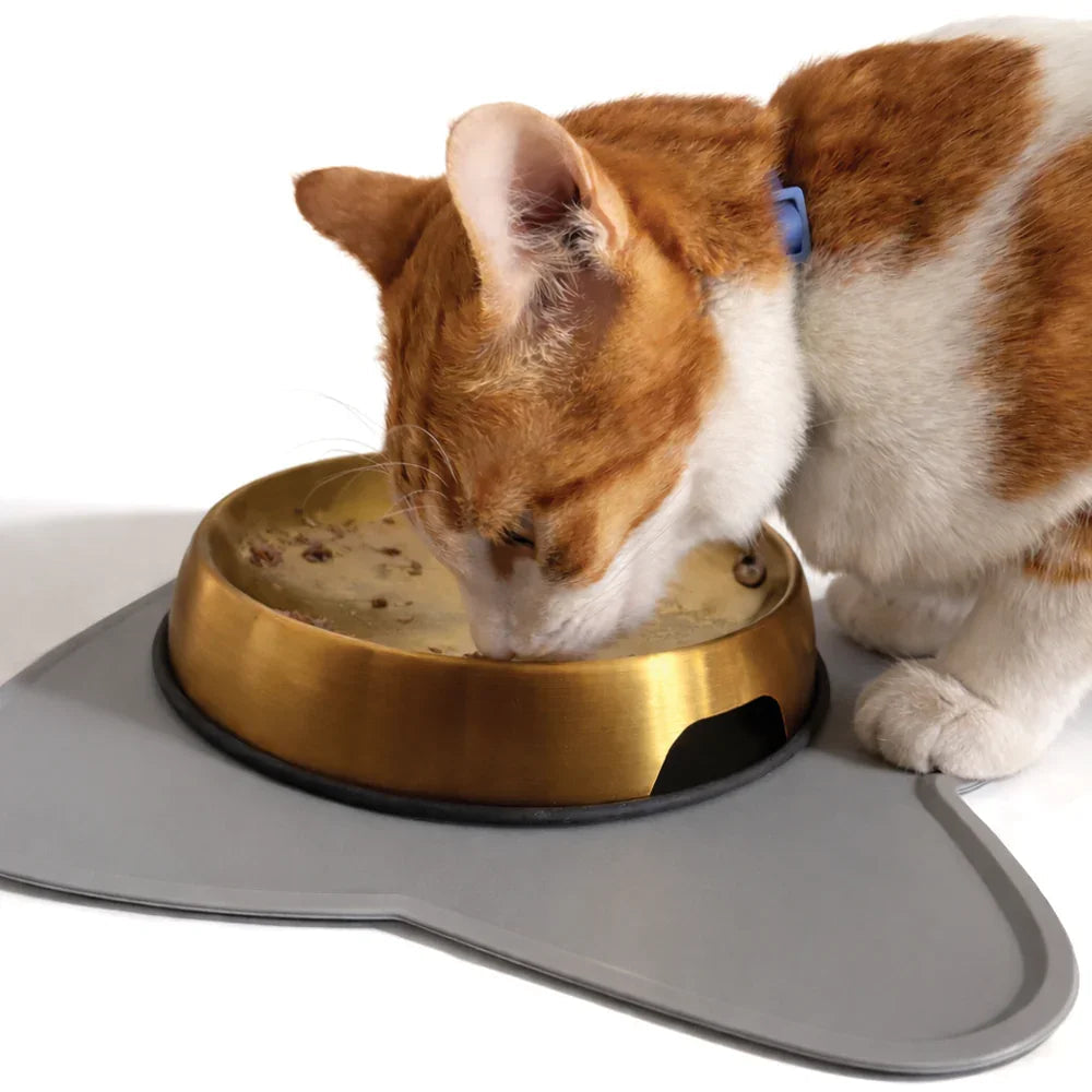 Whisker-Friendly Cat Bowls & Feeding Mats