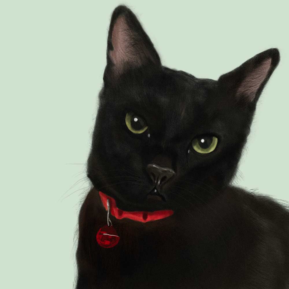 Personalised Cat Lover Gifts & Custom Products