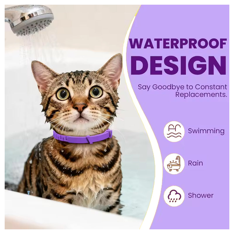 Calming Collar for Cats – Pheromone Anxiety Relief Collar - Soulpurrpose