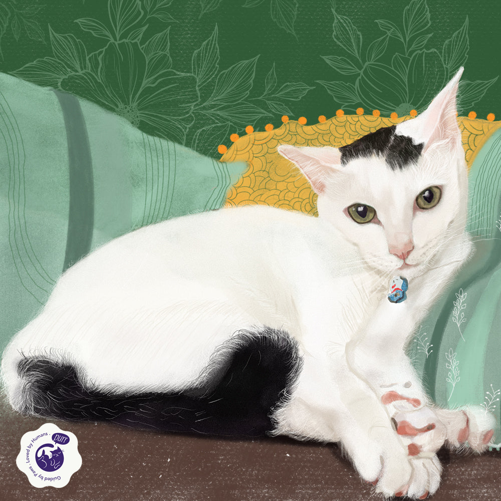 Custom Cat Portrait – Personalised Pet Portrait - Soulpurrpose