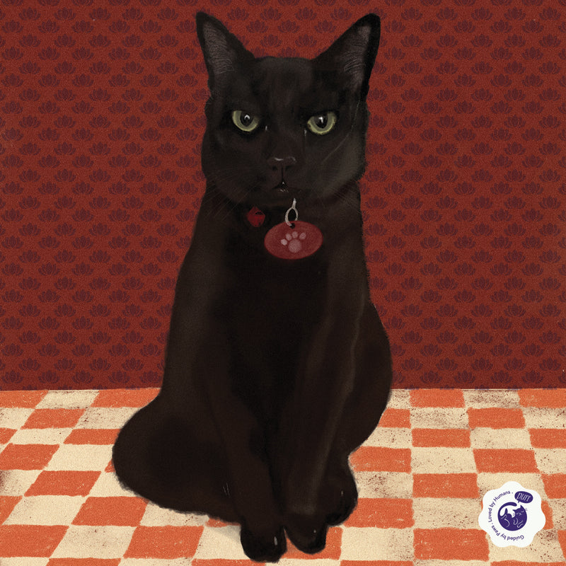 Custom Cat Portrait – Personalised Pet Portrait - Soulpurrpose