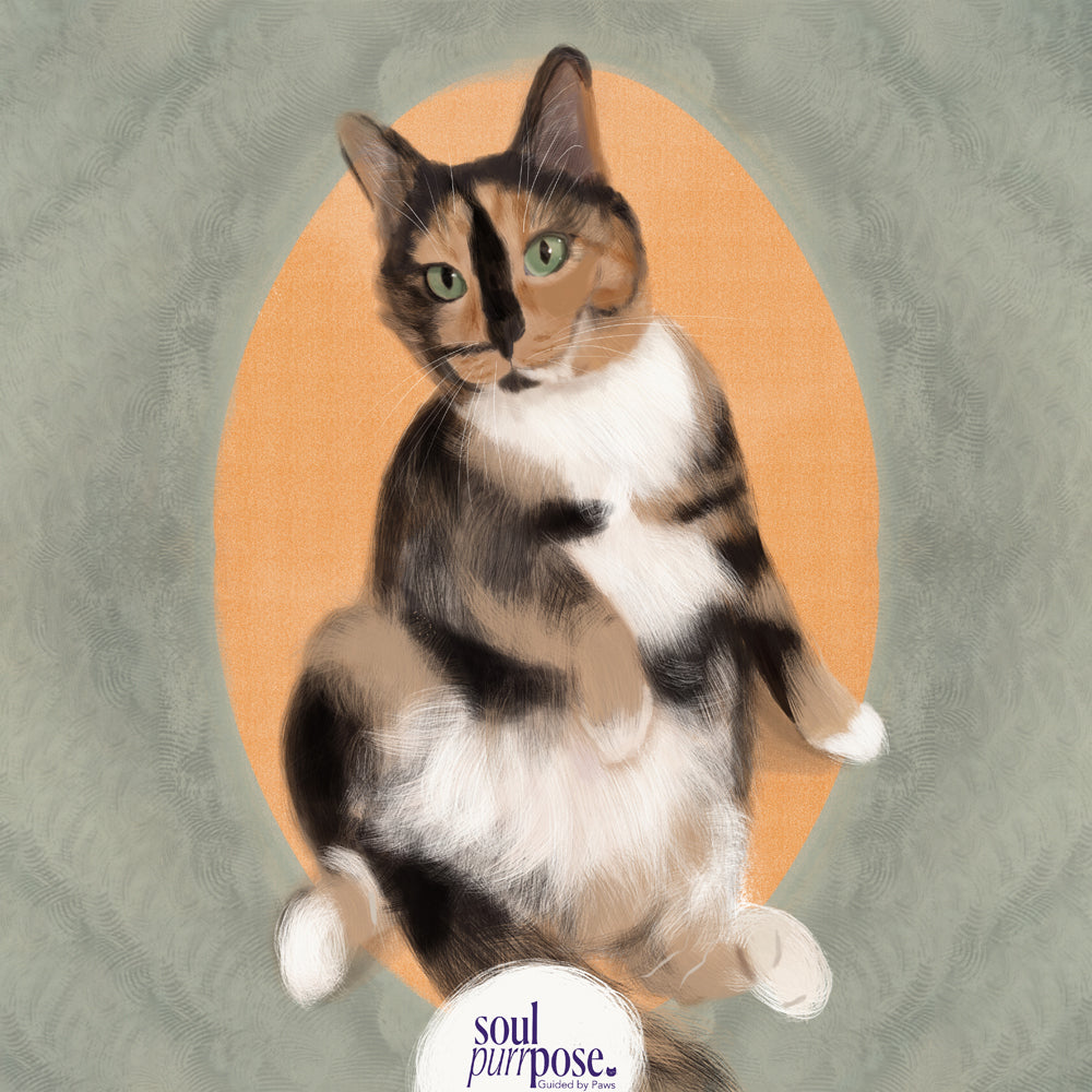 Custom Cat Portrait – Personalised Pet Portrait - Soulpurrpose