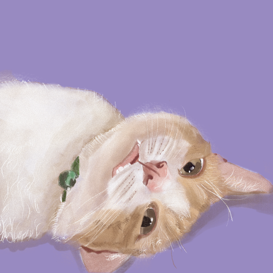 Custom Cat Portrait – Personalised Pet Portrait - Soulpurrpose