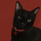 Custom Pet Portrait — Digital & A3 Canvas Print | Soulpurrpose
