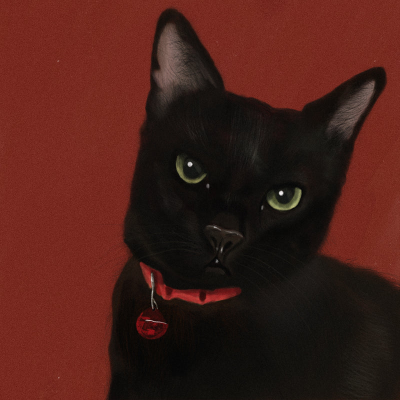 Custom Pet Portrait — Digital & A3 Canvas Print | Soulpurrpose