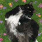 Custom Pet Portrait — Digital & A3 Canvas Print | Soulpurrpose