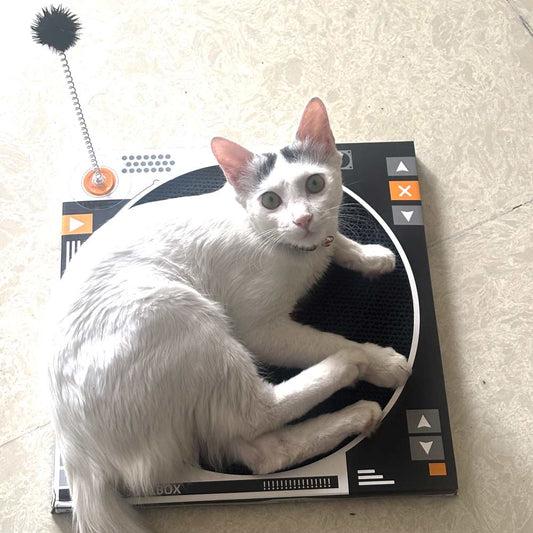 Vinyl Record Cat Scratching Board – Jukebox Style Round Cat Toy