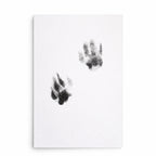 Pet Paw Print Kit – Mess-Free Ink Pad for Cats