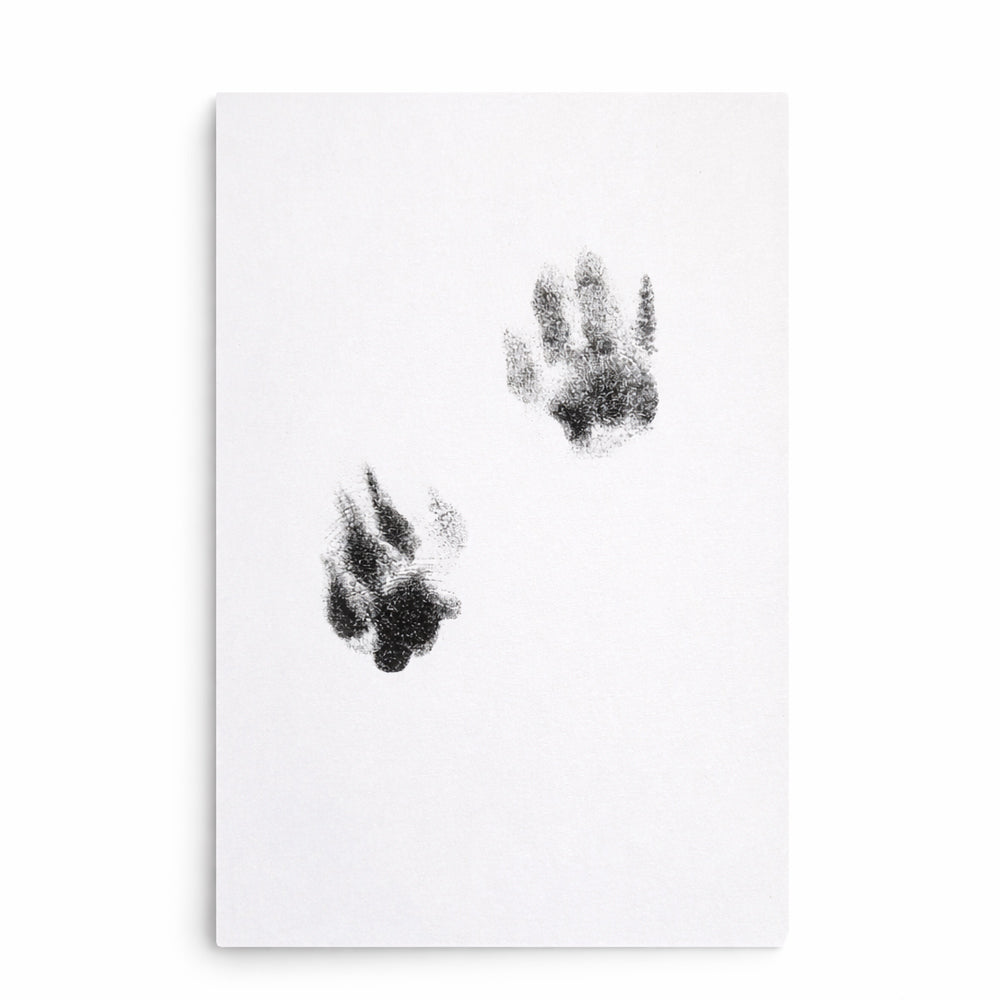 Pet Paw Print Kit – Mess-Free Ink Pad for Cats