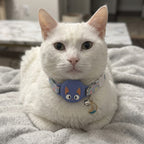 AirTag Cat Collar – Smart Tracking Collar for Cats