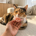AirTag Cat Collar – Smart Tracking Collar for Cats