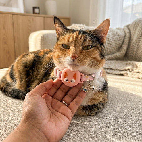 AirTag Cat Collar – Smart Tracking Collar for Cats
